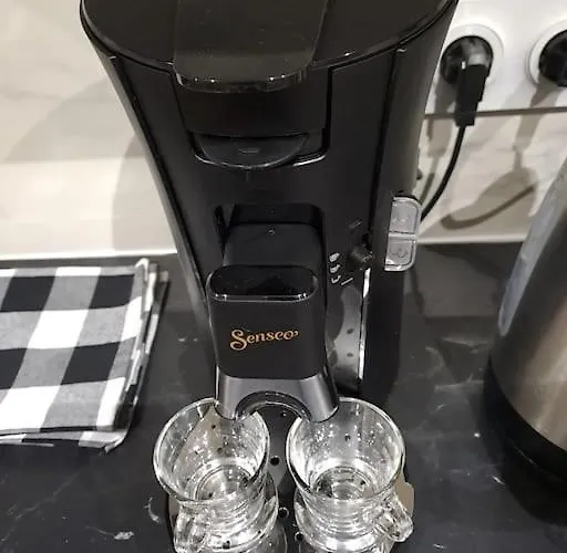 24h Course/moto/ Oasis / Antares